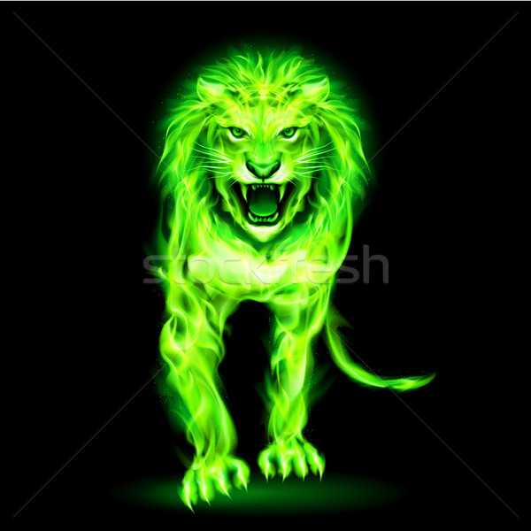 Green fire lion Stock photo © dvarg