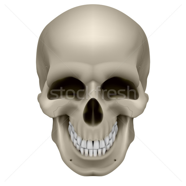 ストックフォト: 人間 · 頭蓋骨 · 感情 · 喜び · 実例 · 白