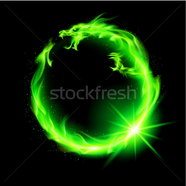 огня Китайский дракон зеленый круга черный Сток-фото © dvarg