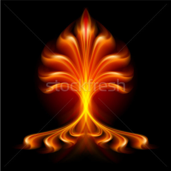 Feuer Blume Illustration isoliert schwarz Licht Stock foto © dvarg