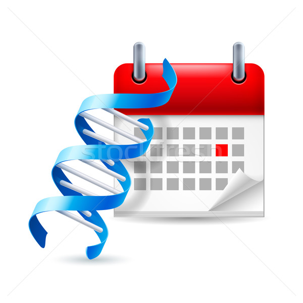 DNA and calendar Stock photo © dvarg