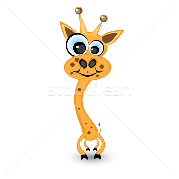 Desenho animado girafa ilustração branco projeto Foto stock © dvarg