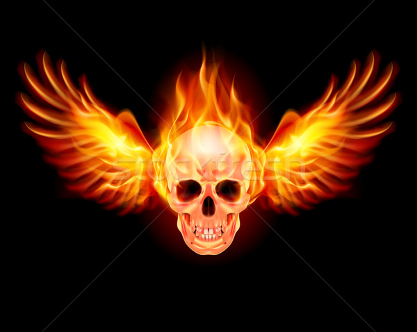 Stock fotó: Lángoló · koponya · tűz · szárnyak · illusztráció · fekete