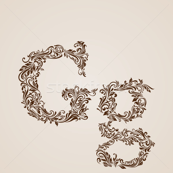 Decorated letter g Stock photo © dvarg