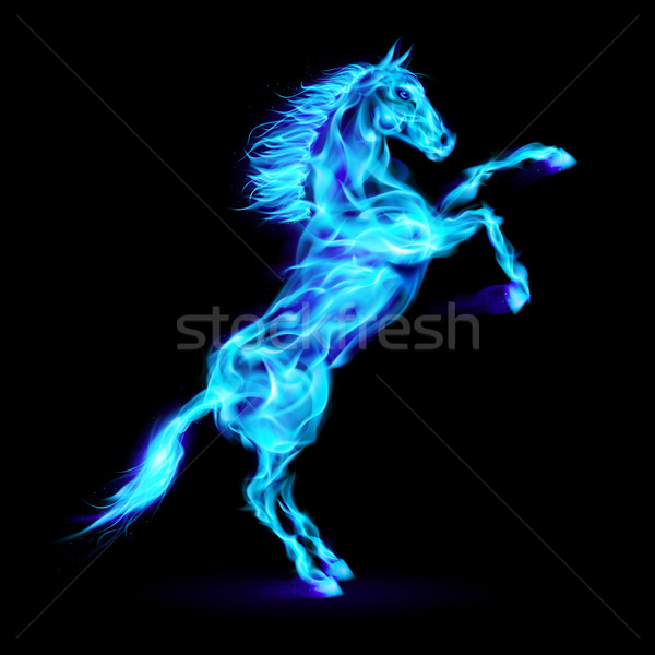 Stock photo: Fire horse rearing up.