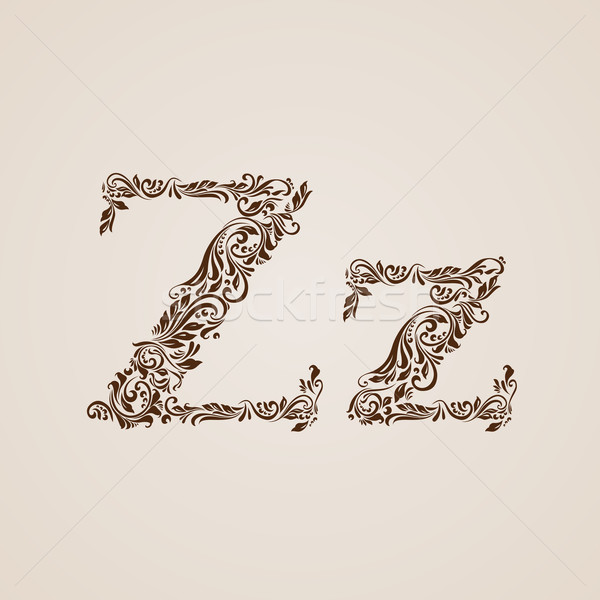 Decorated letter z Stock photo © dvarg