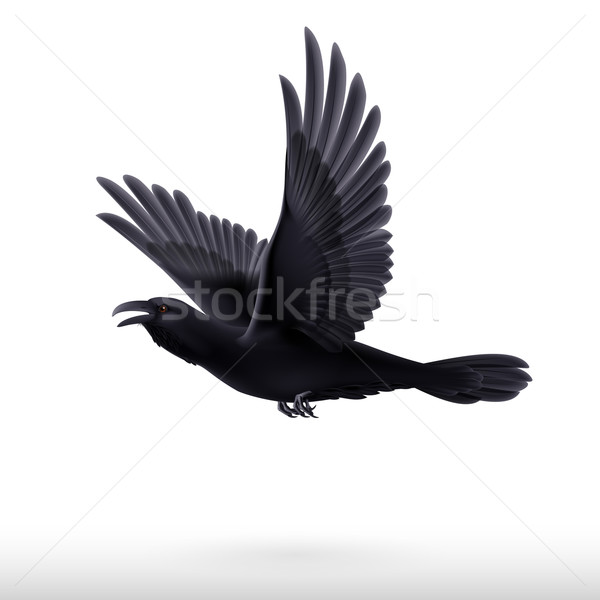 Foto stock: Preto · corvo · branco · voador · isolado · natureza