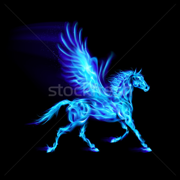 Blue fire Pegasus. Stock photo © dvarg