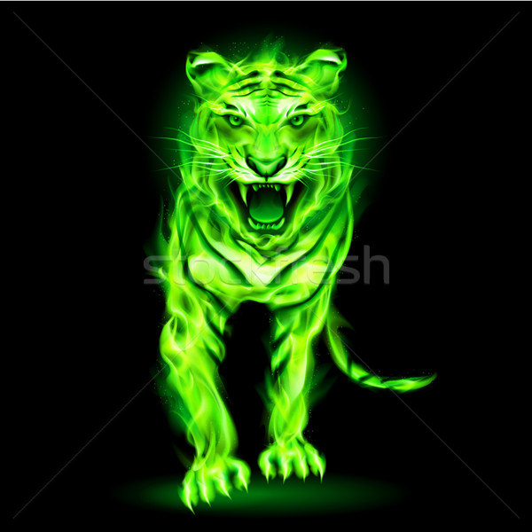 Verde incendiu tigru izolat negru abstract Imagine de stoc © dvarg