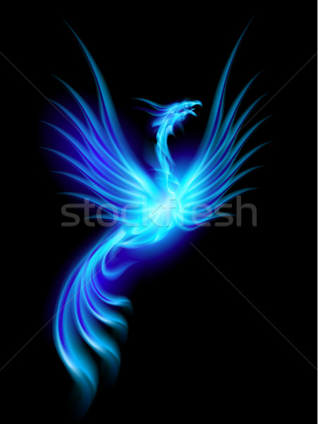 Ardere fenix frumos albastru ilustrare izolat Imagine de stoc © dvarg