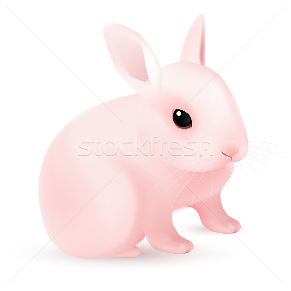 Pink Easter Bunny Stock photo © dvarg