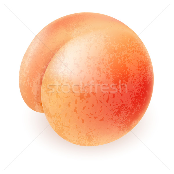 開胃的 成熟 桃 插圖 設計 白 商業照片 © dvarg