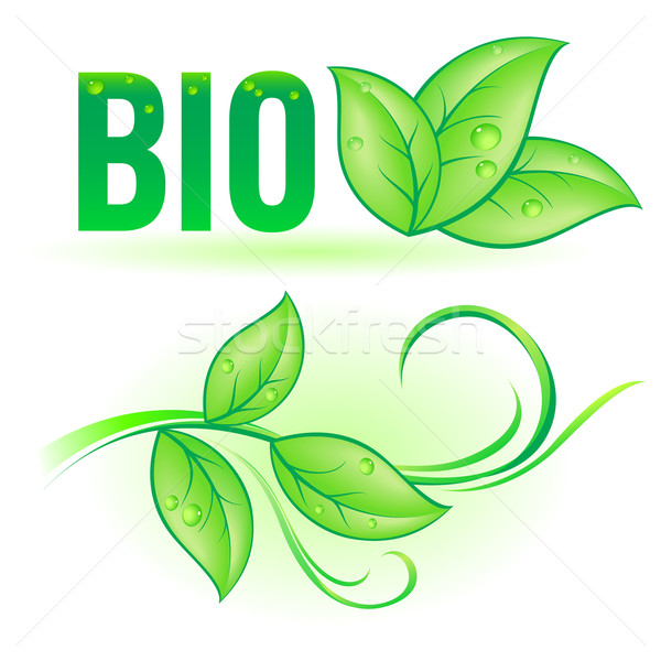 Bio слово лист Элементы зеленый декоративный Сток-фото © dvarg