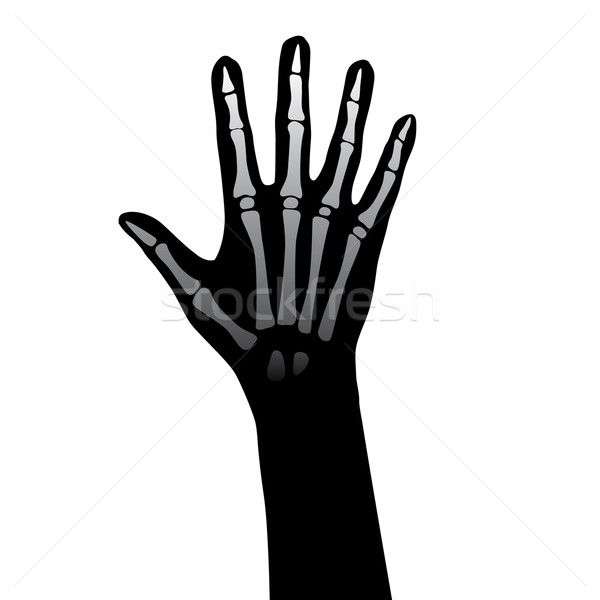 Hand anatomie Open witte lichaam gezondheid Stockfoto © dvarg
