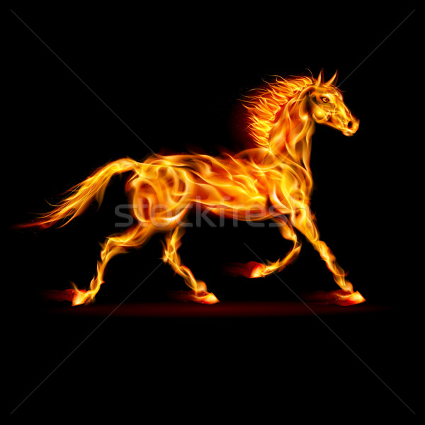 Fire horse. Stock photo © dvarg