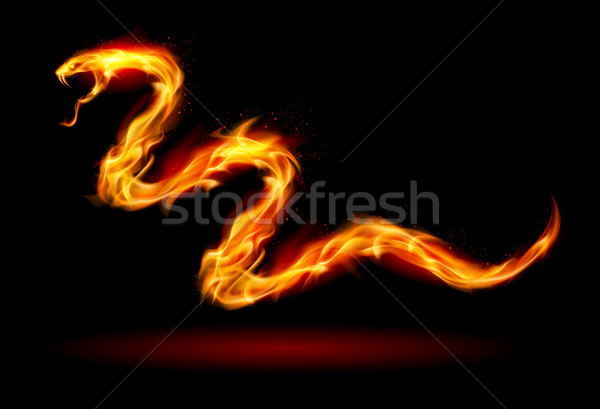 Fuoco serpente illustrazione nero design carta Foto d'archivio © dvarg