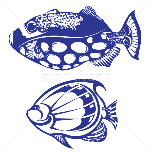 Tropical Fish Stock photo © dvarg