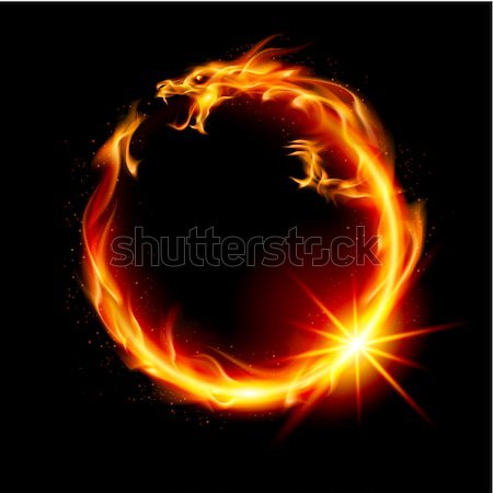 Fuego dragón resumen ilustración negro diseno Foto stock © dvarg