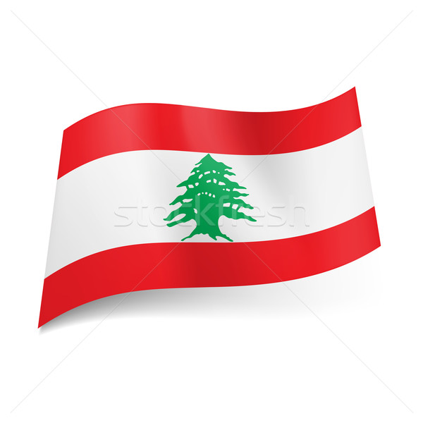 State flag of Lebanon Stock photo © dvarg