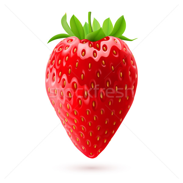 Appetitlich Erdbeere frischen isoliert weiß Stock foto © dvarg