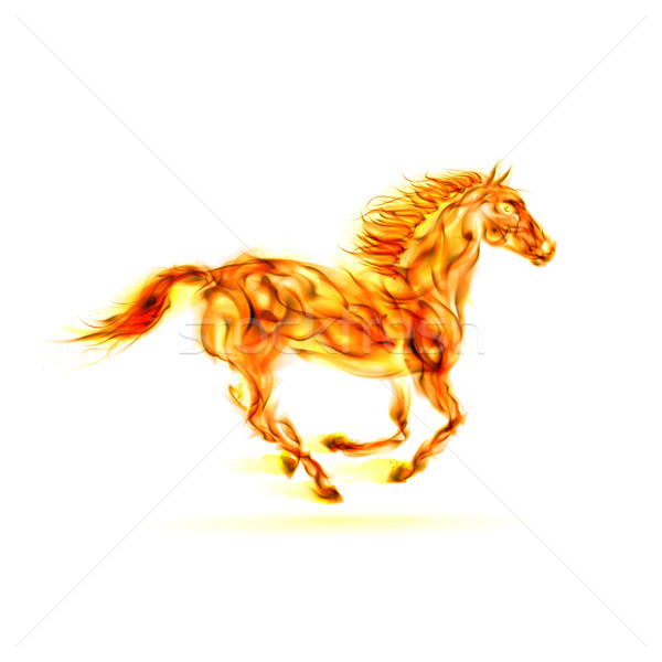 Running fire horse. Stock photo © dvarg