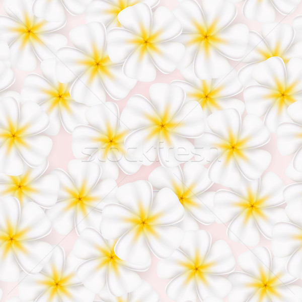 Seamless texture Stock photo © dvarg