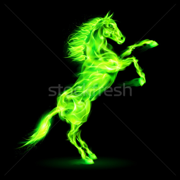 Fire horse rearing up. Stock photo © dvarg