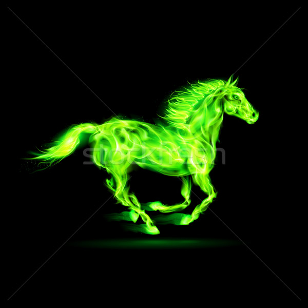 Green fire horse. Stock photo © dvarg