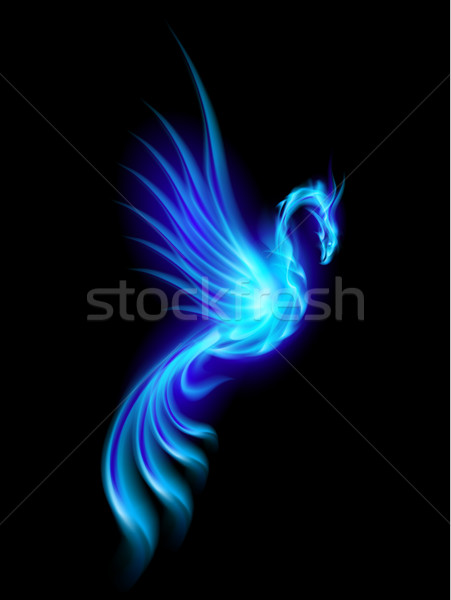 Phoenix Stock photo © dvarg