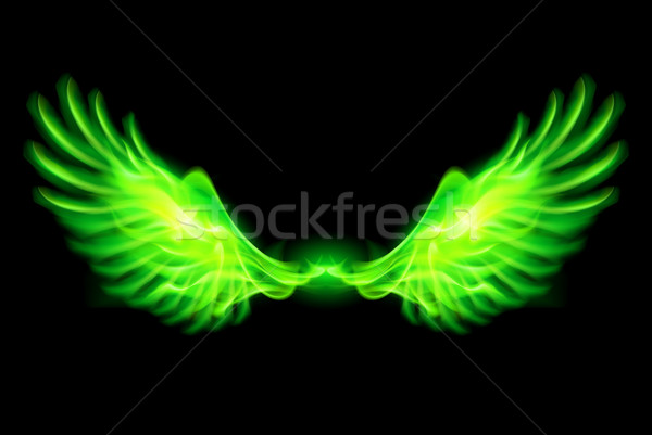 Green fire wings. Stock photo © dvarg