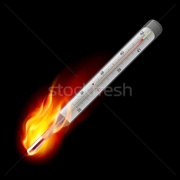 Medical thermometer Stock photo © dvarg