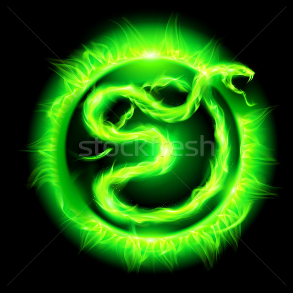 Green fire snake. Stock photo © dvarg