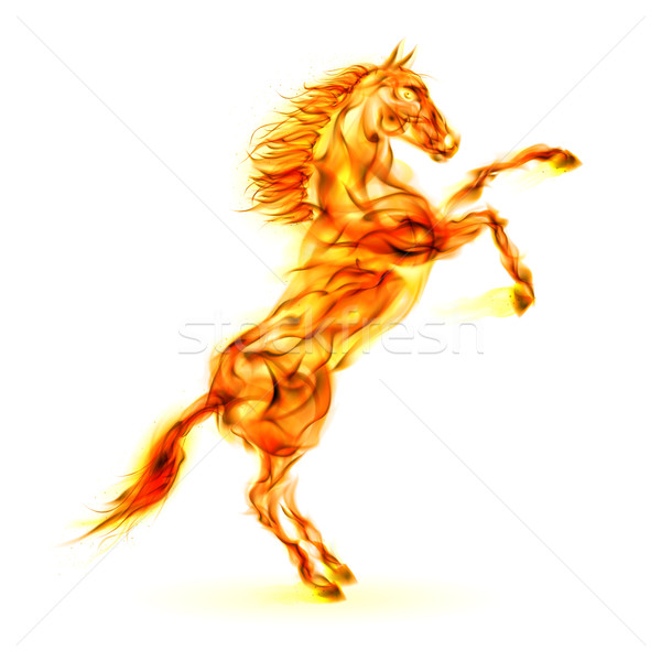 огня лошади вверх иллюстрация белый дизайна Сток-фото © dvarg