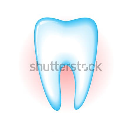 Tooth Stock photo © dvarg