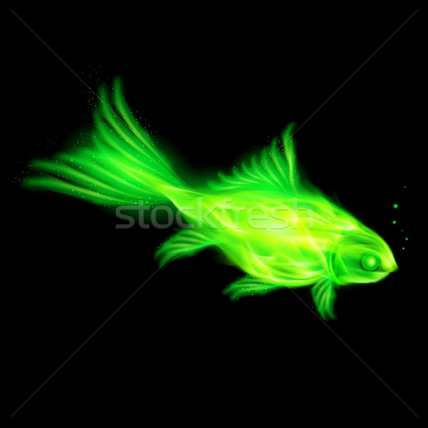 Verde fuoco pesce illustrazione nero luce Foto d'archivio © dvarg