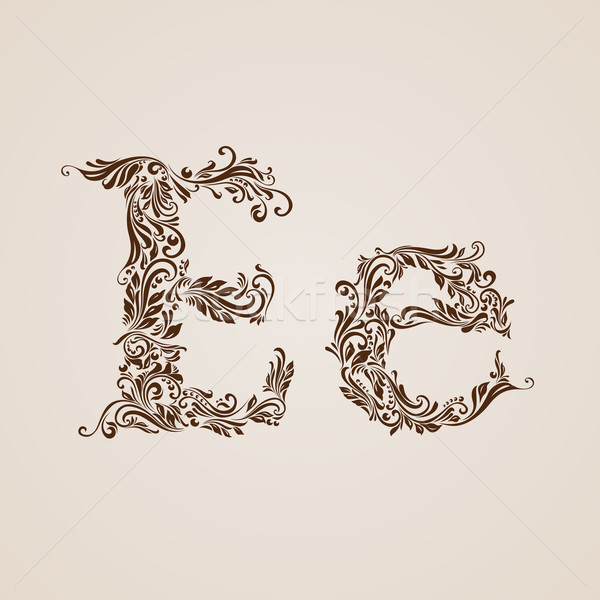Decorated letter e Stock photo © dvarg