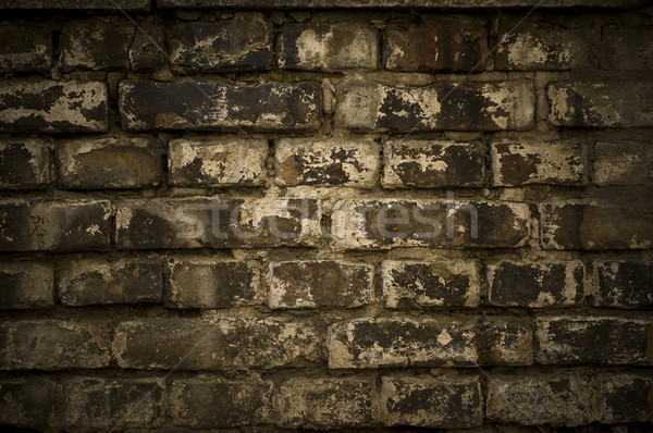 Grunge muur foto muur abstract ontwerp Stockfoto © dzejmsdin