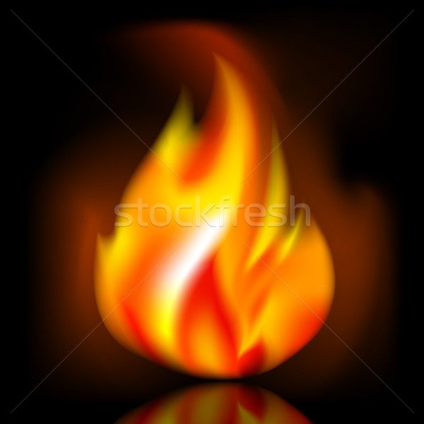 Fire, bright flame on dark background Stock photo © Ecelop