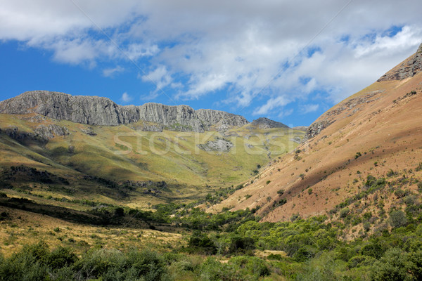 Mountain landscape Stock photo © EcoPic