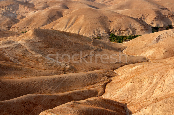 Judean desert landscape Stock photo © EcoPic