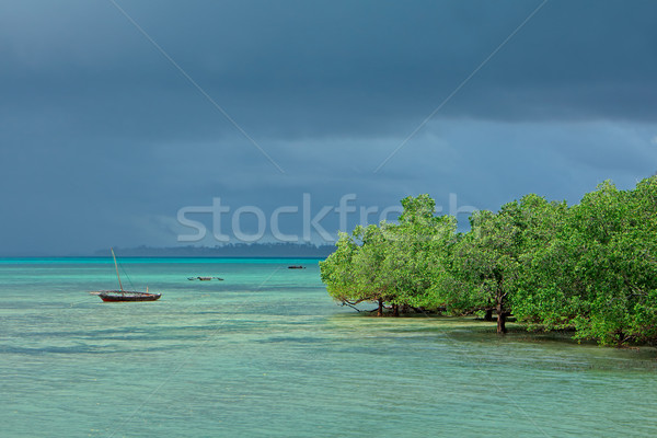 Seascape with mangrove trees Stock photo © EcoPic