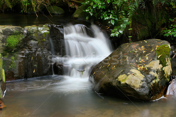 Cascada pequeño montana corriente musgo cubierto Foto stock © EcoPic