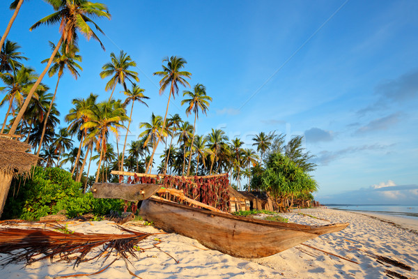 Tropical beach Stock photo © EcoPic