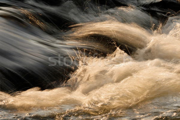 Water in motion  Stock photo © EcoPic