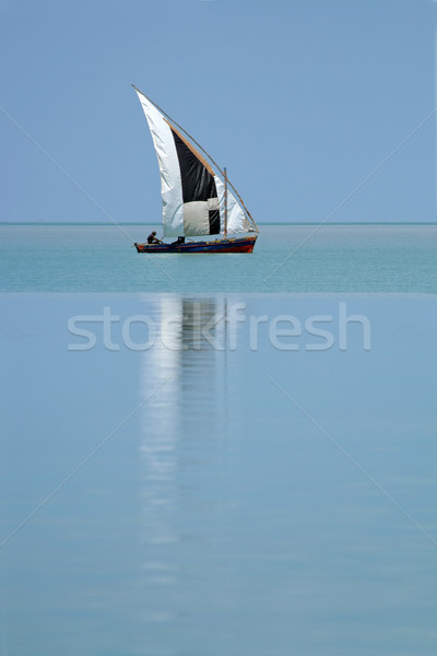 Mozambican dhow Stock photo © EcoPic
