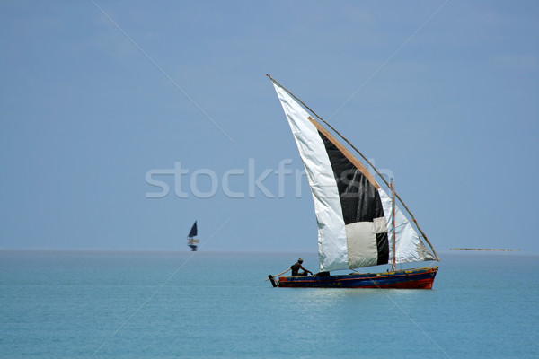 Mozambican dhow  Stock photo © EcoPic