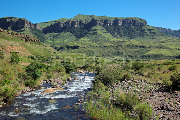 Mountain river Stock photo © EcoPic