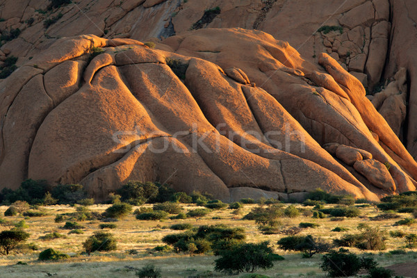 Granit Berg Namibia südlich Afrika Natur Stock foto © EcoPic