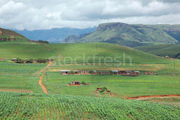 Rural settlement Stock photo © EcoPic