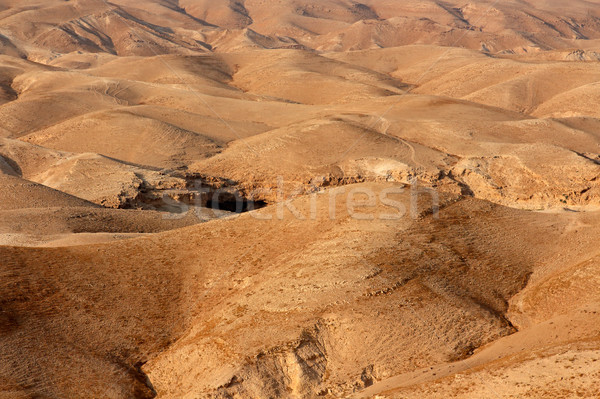 Judean desert landscape Stock photo © EcoPic